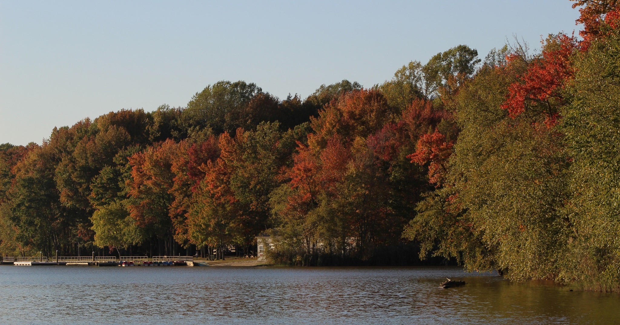 Lums Pond State Park Naturalist - State of Delaware